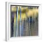 Autumn Reflections-Doug Chinnery-Framed Photographic Print