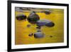 Autumn Reflections-JuneJ-Framed Photographic Print