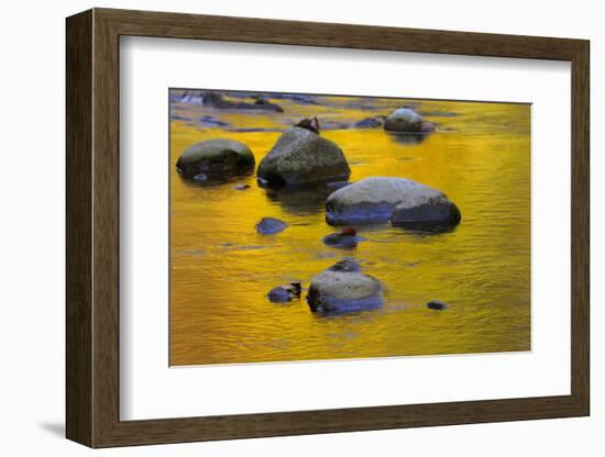 Autumn Reflections-JuneJ-Framed Photographic Print