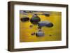 Autumn Reflections-JuneJ-Framed Photographic Print