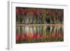 Autumn Reflections-Danny Head-Framed Art Print