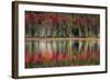 Autumn Reflections-Danny Head-Framed Art Print