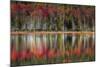 Autumn Reflections-Danny Head-Mounted Art Print