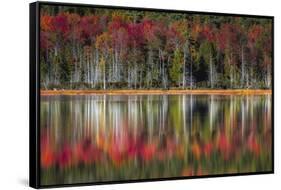 Autumn Reflections-Danny Head-Framed Stretched Canvas