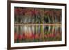 Autumn Reflections-Danny Head-Framed Art Print