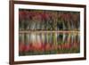 Autumn Reflections-Danny Head-Framed Art Print