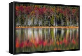 Autumn Reflections-Danny Head-Framed Stretched Canvas