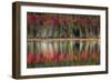 Autumn Reflections-Danny Head-Framed Premium Giclee Print