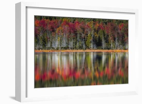 Autumn Reflections-Danny Head-Framed Premium Giclee Print