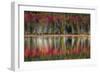 Autumn Reflections-Danny Head-Framed Premium Giclee Print