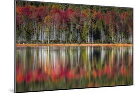 Autumn Reflections-Danny Head-Mounted Premium Giclee Print