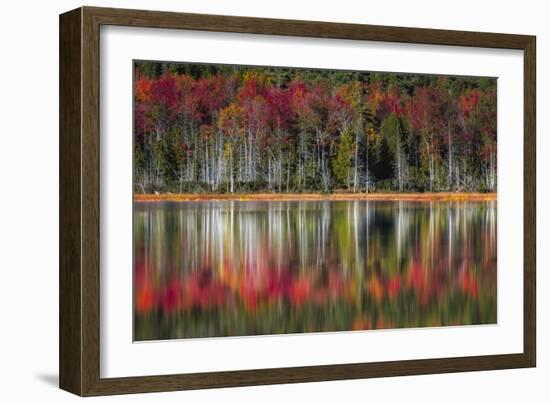 Autumn Reflections-Danny Head-Framed Art Print