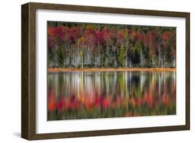 Autumn Reflections-Danny Head-Framed Art Print