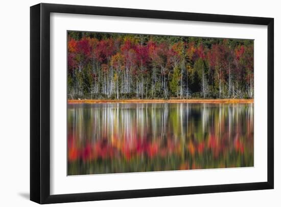 Autumn Reflections-Danny Head-Framed Art Print