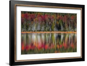 Autumn Reflections-Danny Head-Framed Art Print