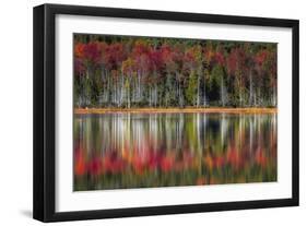 Autumn Reflections-Danny Head-Framed Art Print