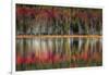 Autumn Reflections-Danny Head-Framed Art Print