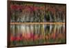 Autumn Reflections-Danny Head-Framed Art Print