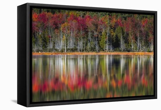 Autumn Reflections-Danny Head-Framed Stretched Canvas