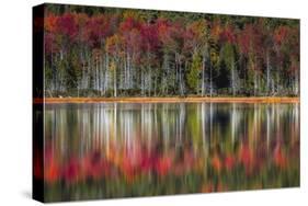 Autumn Reflections-Danny Head-Stretched Canvas
