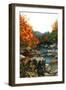 Autumn Reflections-Sher Sester-Framed Giclee Print