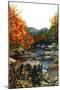 Autumn Reflections-Sher Sester-Mounted Giclee Print