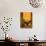 Autumn Reminiscences I-Doris Mosler-Giclee Print displayed on a wall