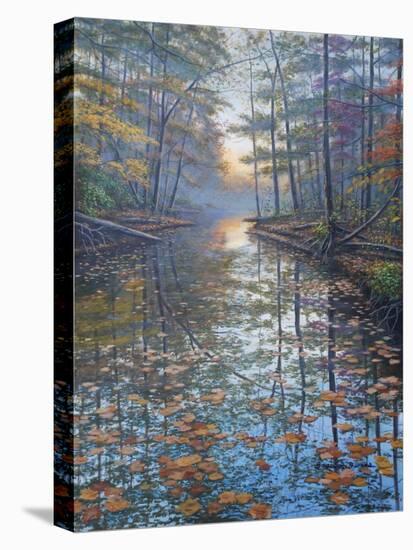 Autumn Rest-Bruce Dumas-Stretched Canvas