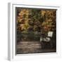 Autumn Rest-Danny Head-Framed Photographic Print