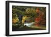 Autumn Reverie-Jessica Jenney-Framed Giclee Print