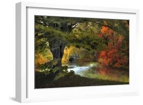 Autumn Reverie-Jessica Jenney-Framed Giclee Print