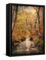 Autumn Riches 1-Jai Johnson-Framed Stretched Canvas