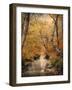 Autumn Riches 1-Jai Johnson-Framed Photographic Print