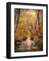 Autumn Riches 1-Jai Johnson-Framed Photographic Print