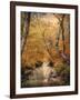 Autumn Riches 1-Jai Johnson-Framed Photographic Print