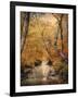 Autumn Riches 1-Jai Johnson-Framed Photographic Print