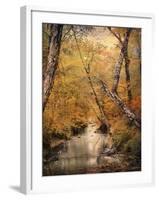 Autumn Riches 1-Jai Johnson-Framed Photographic Print