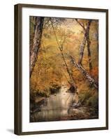 Autumn Riches 1-Jai Johnson-Framed Photographic Print