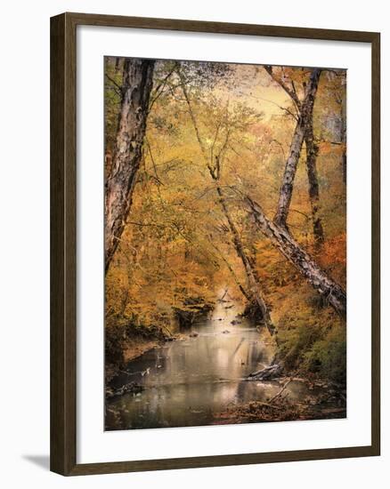 Autumn Riches 1-Jai Johnson-Framed Photographic Print