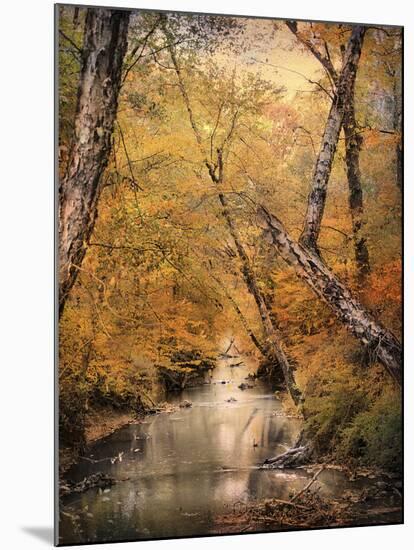 Autumn Riches 1-Jai Johnson-Mounted Photographic Print