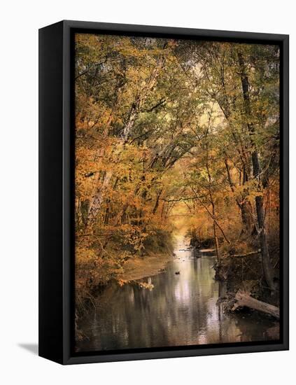 Autumn Riches 2-Jai Johnson-Framed Stretched Canvas