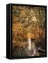 Autumn Riches 2-Jai Johnson-Framed Stretched Canvas