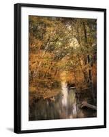 Autumn Riches 2-Jai Johnson-Framed Photographic Print