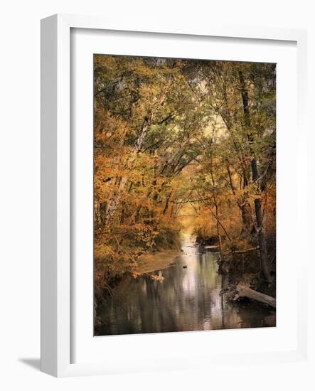 Autumn Riches 2-Jai Johnson-Framed Photographic Print