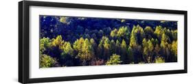 Autumn Ridge I-Alan Hausenflock-Framed Photographic Print