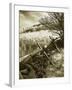 Autumn Ridge II-Alan Hausenflock-Framed Photographic Print
