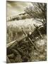 Autumn Ridge II-Alan Hausenflock-Mounted Photographic Print