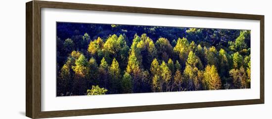 Autumn Ridge II-Alan Hausenflock-Framed Photographic Print