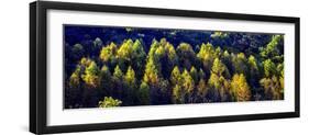 Autumn Ridge II-Alan Hausenflock-Framed Photographic Print