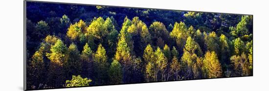 Autumn Ridge II-Alan Hausenflock-Mounted Photographic Print